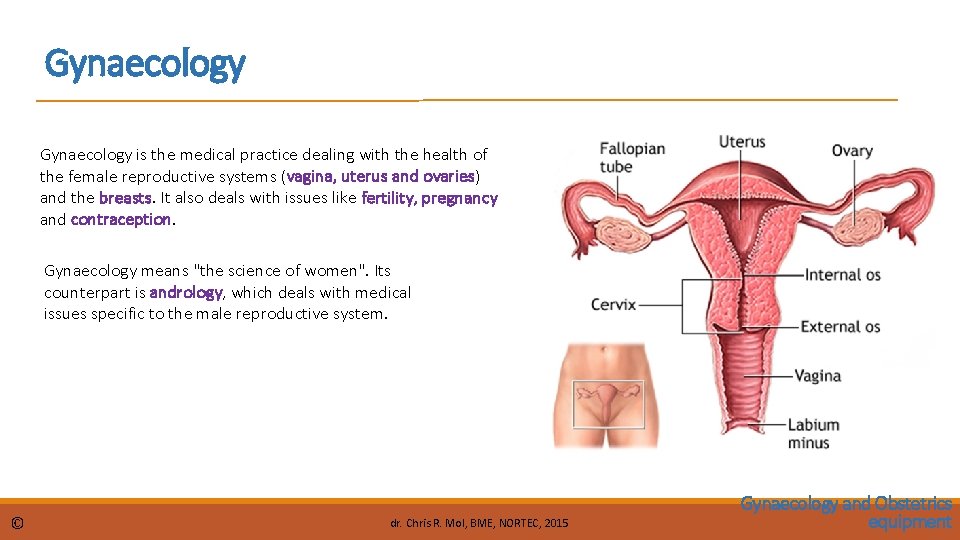 Gynaecology is the medical practice dealing with the health of the female reproductive systems