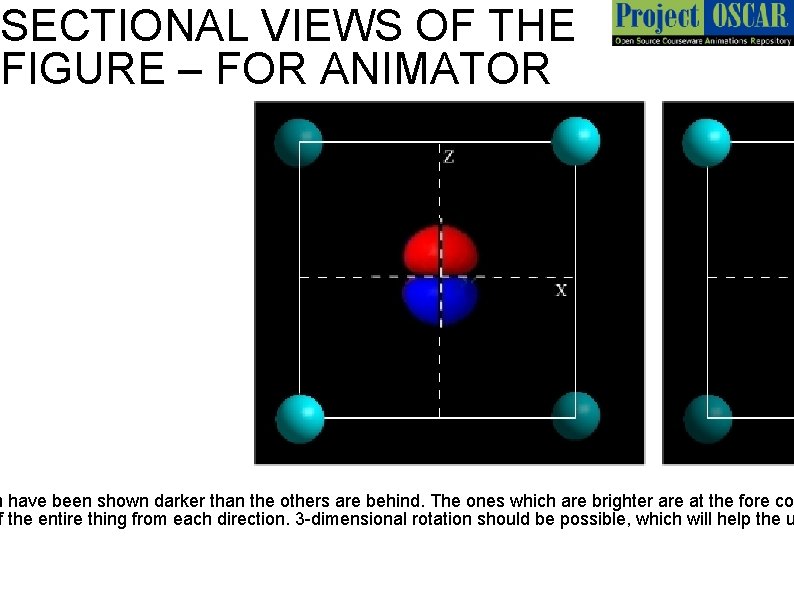 SECTIONAL VIEWS OF THE FIGURE – FOR ANIMATOR h have been shown darker than
