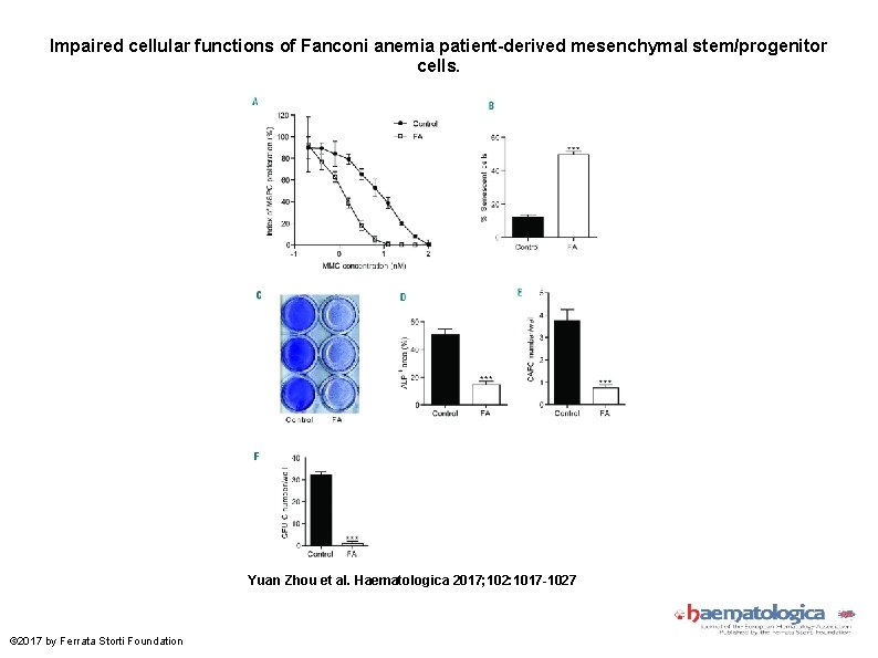 Impaired cellular functions of Fanconi anemia patient-derived mesenchymal stem/progenitor cells. Yuan Zhou et al.