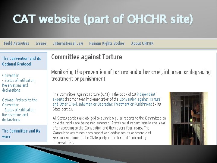 CAT website (part of OHCHR site) 