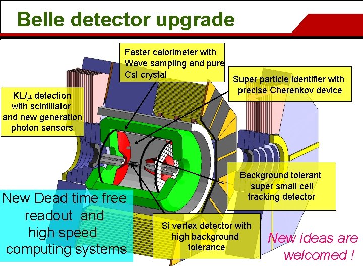 Belle detector upgrade Faster calorimeter with Wave sampling and pure Cs. I crystal KL/m