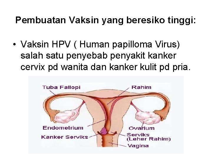 Pembuatan Vaksin yang beresiko tinggi: • Vaksin HPV ( Human papilloma Virus) salah satu