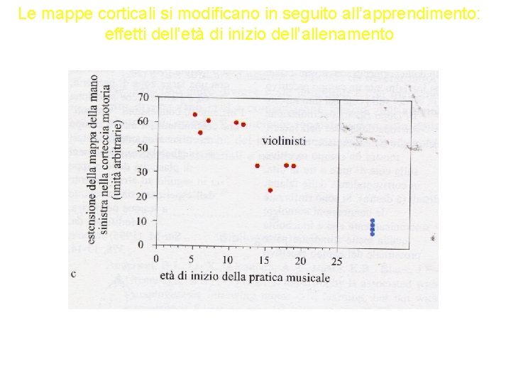 Le mappe corticali si modificano in seguito all’apprendimento: effetti dell’età di inizio dell’allenamento 