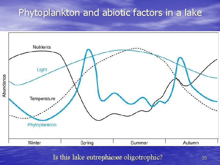 Phytoplankton and abiotic factors in a lake Is this lake eutrophic or oligotrophic? Thai