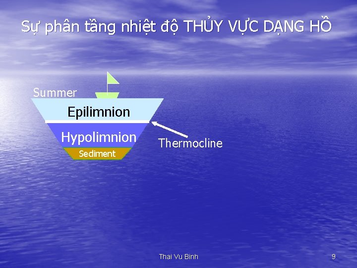 Sự phân tầng nhiệt độ THỦY VỰC DẠNG HỒ Summer Epilimnion Hypolimnion Sediment Thermocline