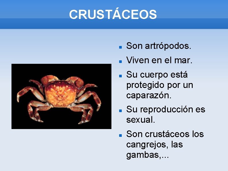 CRUSTÁCEOS Son artrópodos. Viven en el mar. Su cuerpo está protegido por un caparazón.