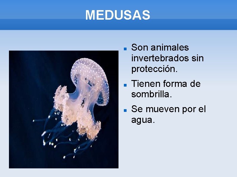 MEDUSAS Son animales invertebrados sin protección. Tienen forma de sombrilla. Se mueven por el