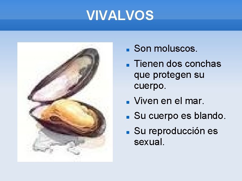 VIVALVOS Son moluscos. Tienen dos conchas que protegen su cuerpo. Viven en el mar.