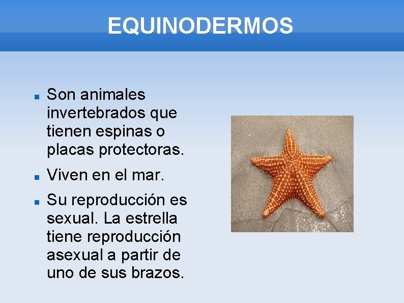 EQUINODERMOS Son animales invertebrados que tienen espinas o placas protectoras. Viven en el mar.