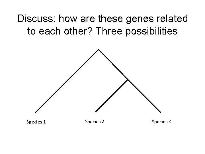 Discuss: how are these genes related to each other? Three possibilities Species 1 Species