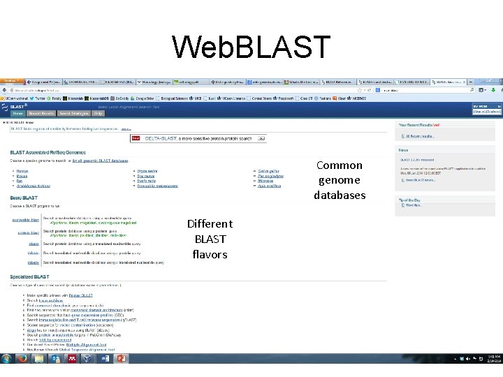 Web. BLAST Common genome databases Different BLAST flavors 