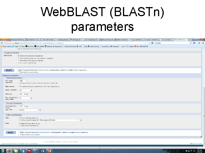 Web. BLAST (BLASTn) parameters 