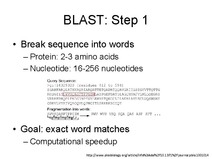 BLAST: Step 1 • Break sequence into words – Protein: 2 -3 amino acids
