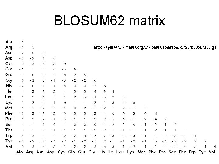 BLOSUM 62 matrix http: //upload. wikimedia. org/wikipedia/commons/5/52/BLOSUM 62. gif 