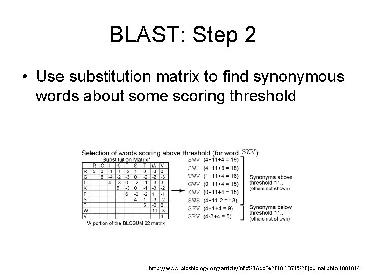 BLAST: Step 2 • Use substitution matrix to find synonymous words about some scoring