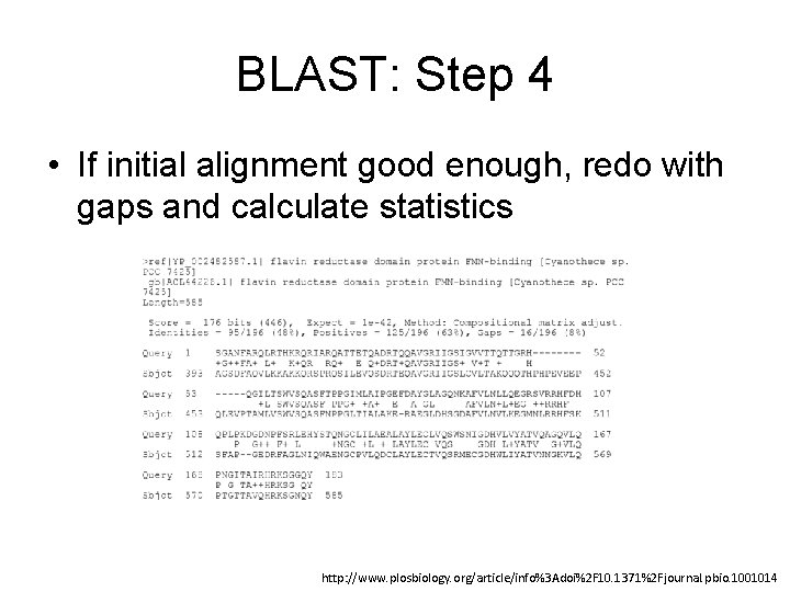 BLAST: Step 4 • If initial alignment good enough, redo with gaps and calculate