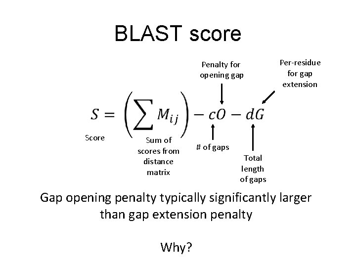 BLAST score Penalty for opening gap Per-residue for gap extension • Score Sum of