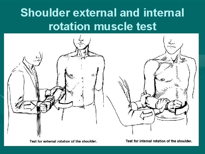 Shoulder external and internal rotation muscle test 