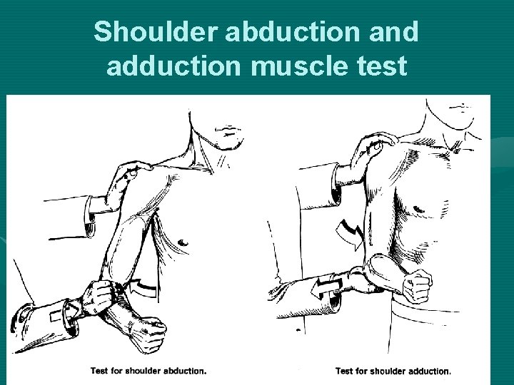 Shoulder abduction and adduction muscle test 