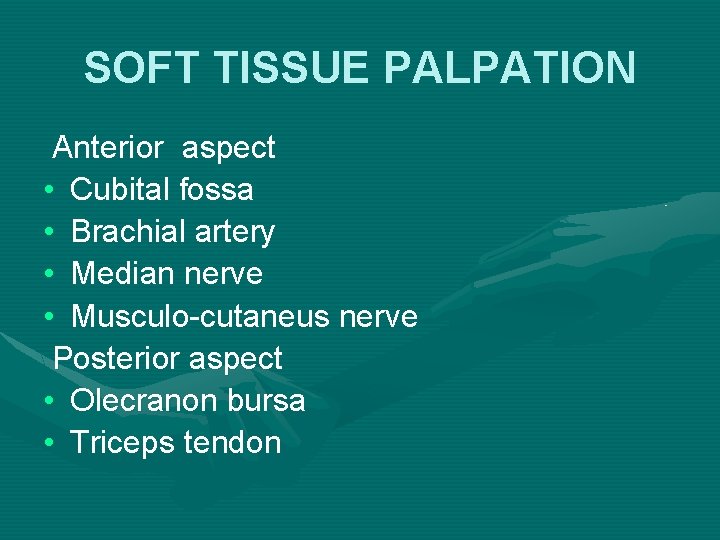 SOFT TISSUE PALPATION Anterior aspect • Cubital fossa • Brachial artery • Median nerve