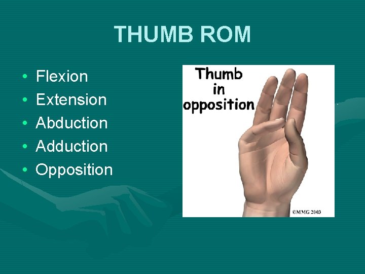 THUMB ROM • • • Flexion Extension Abduction Adduction Opposition 