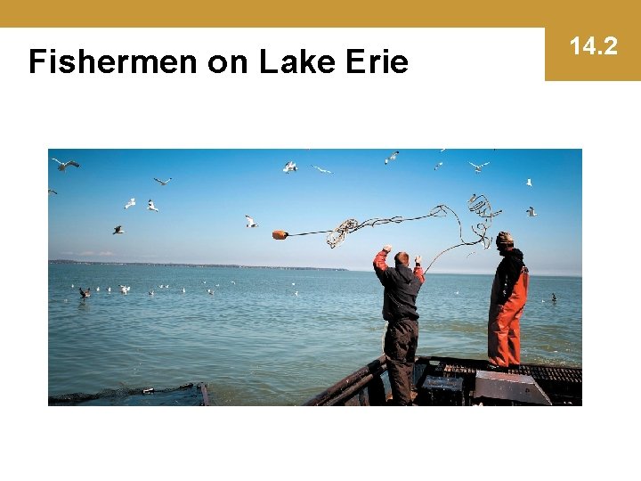 Fishermen on Lake Erie 14. 2 