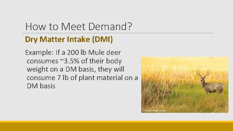 How to Meet Demand? Dry Matter Intake (DMI) Example: If a 200 lb Mule