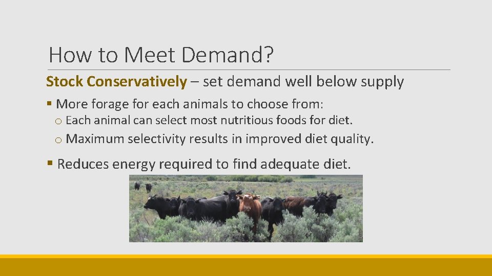 How to Meet Demand? Stock Conservatively – set demand well below supply § More