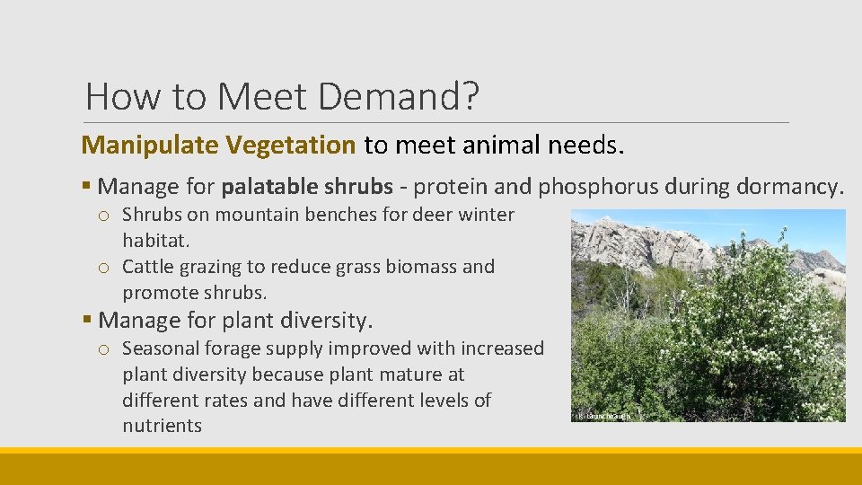 How to Meet Demand? Manipulate Vegetation to meet animal needs. § Manage for palatable