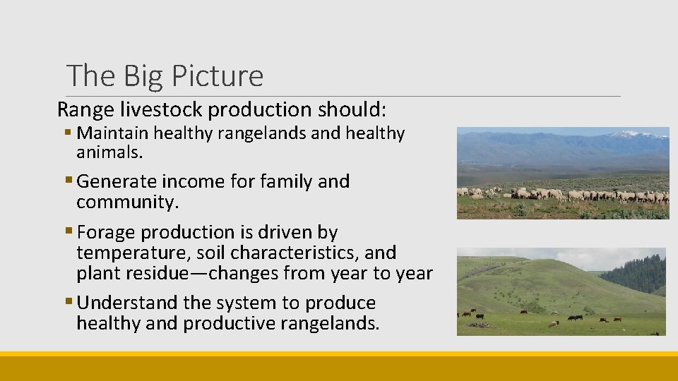 The Big Picture Range livestock production should: § Maintain healthy rangelands and healthy animals.