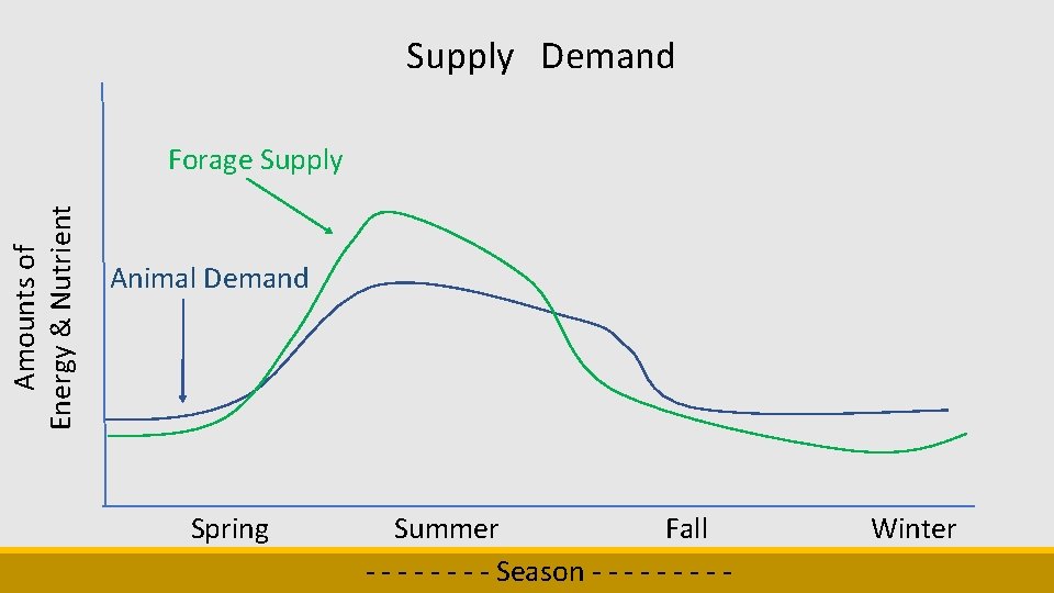 Supply Demand Amounts of Energy & Nutrient Forage Supply Animal Demand Spring Summer Fall