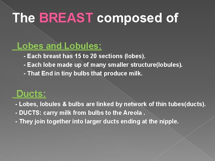 The BREAST composed of Lobes and Lobules: - Each breast has 15 to 20