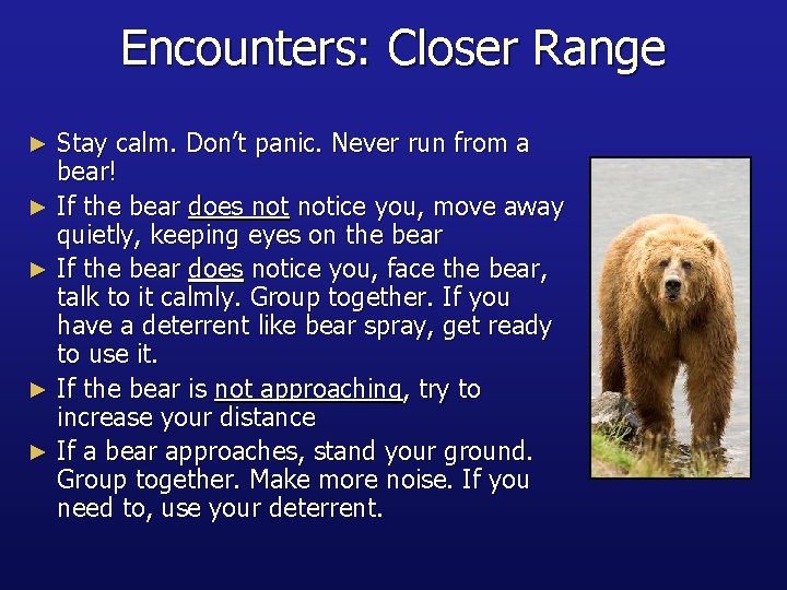 Encounters: Closer Range Stay calm. Don’t panic. Never run from a bear! ► If