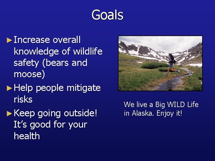 Goals ► Increase overall knowledge of wildlife safety (bears and moose) ► Help people