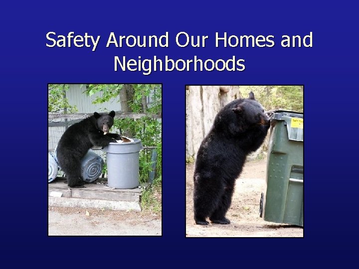 Safety Around Our Homes and Neighborhoods 