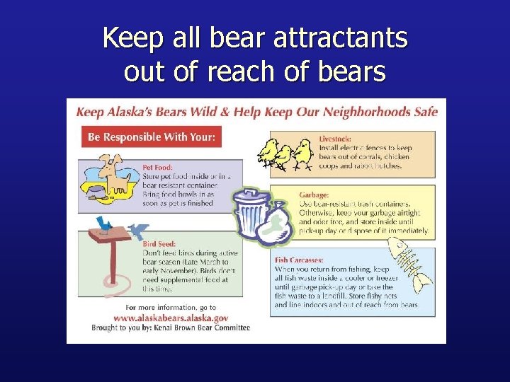 Keep all bear attractants out of reach of bears 