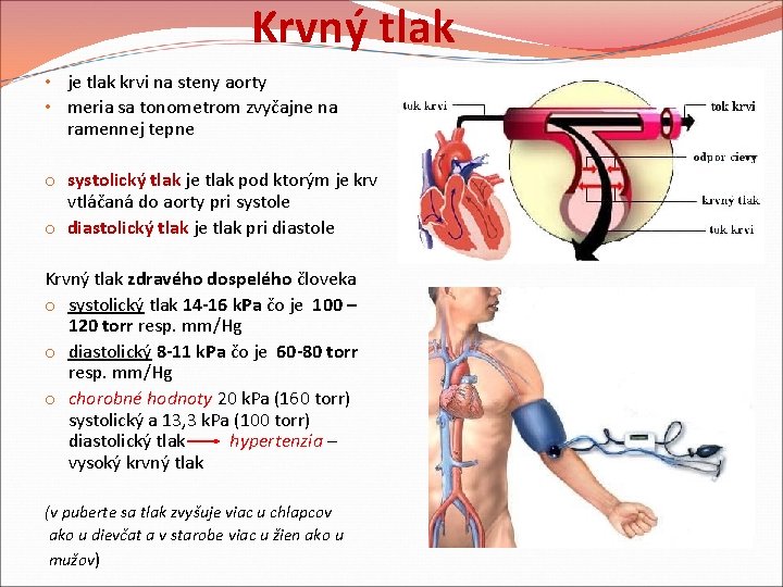 Krvný tlak • je tlak krvi na steny aorty • meria sa tonometrom zvyčajne Krvný tlak • je tlak krvi na steny aorty • meria sa tonometrom zvyčajne