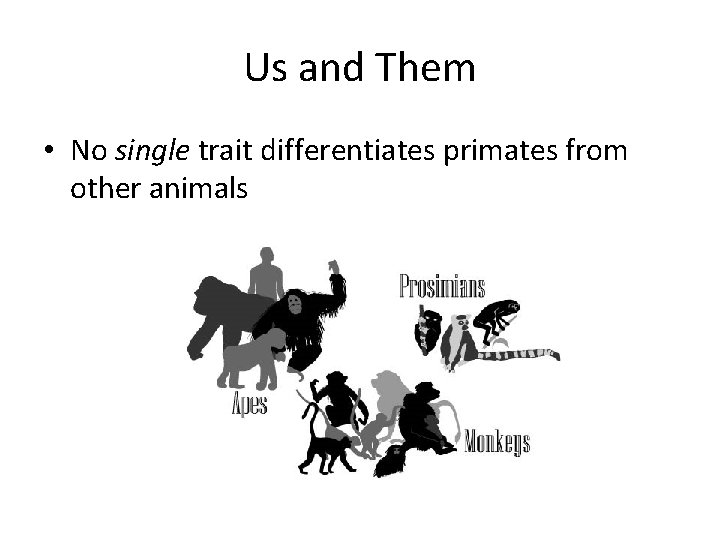 Us and Them • No single trait differentiates primates from other animals 