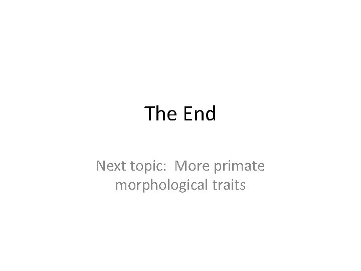 The End Next topic: More primate morphological traits 