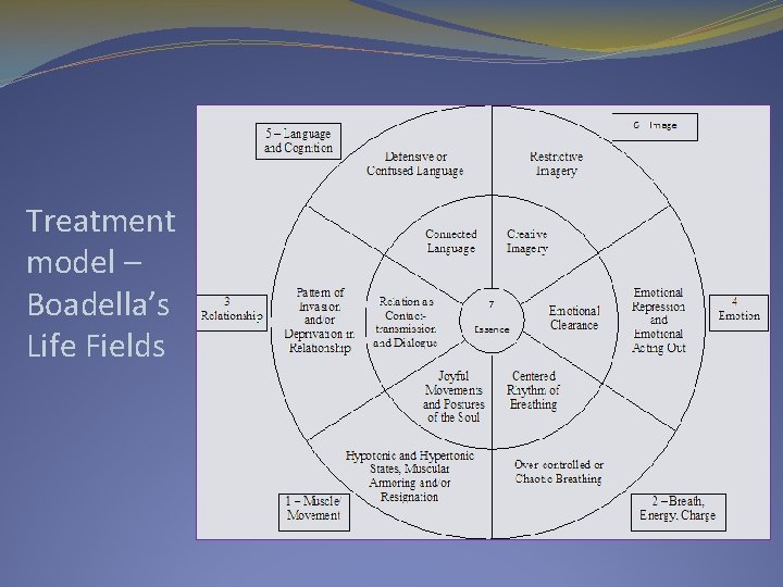 Treatment model – Boadella’s Life Fields 