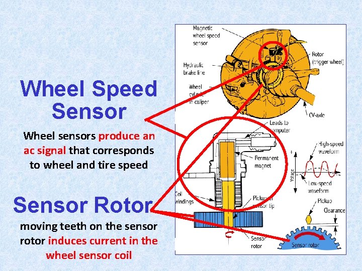 Wheel Speed Sensor Wheel sensors produce an ac signal that corresponds to wheel and