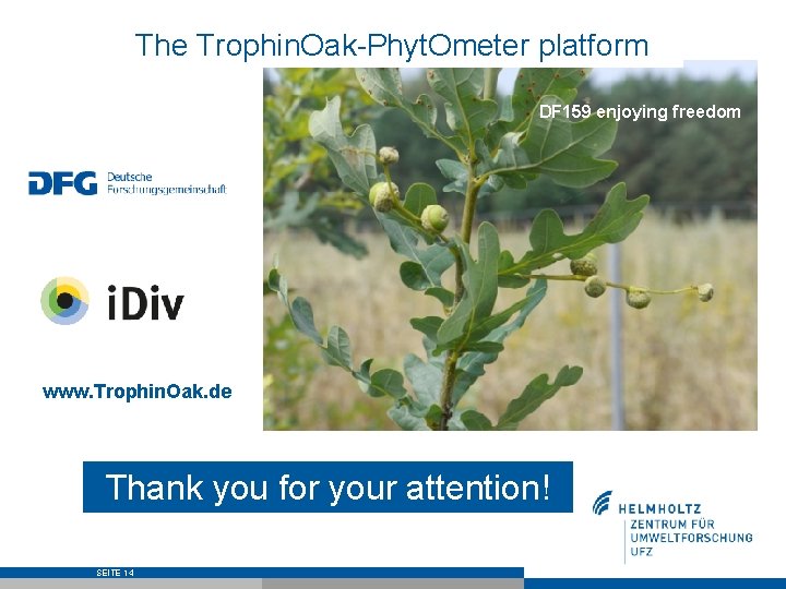 The Trophin. Oak-Phyt. Ometer platform DF 159 enjoying freedom www. Trophin. Oak. de Thank