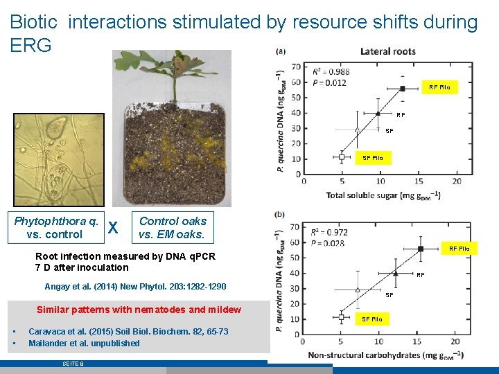 Biotic interactions stimulated by resource shifts during ERG RF Pilo RF SF SF Pilo