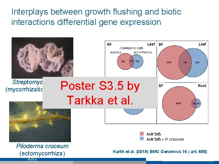 Interplays between growth flushing and biotic interactions differential gene expression Streptomyces sp. Ac. H