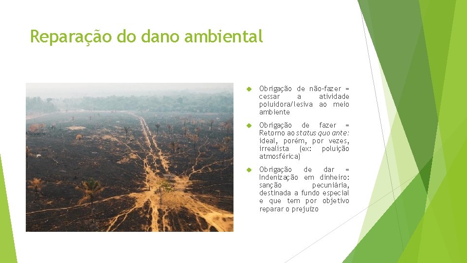 Reparação do dano ambiental Obrigação de não-fazer = cessar a atividade poluidora/lesiva ao meio