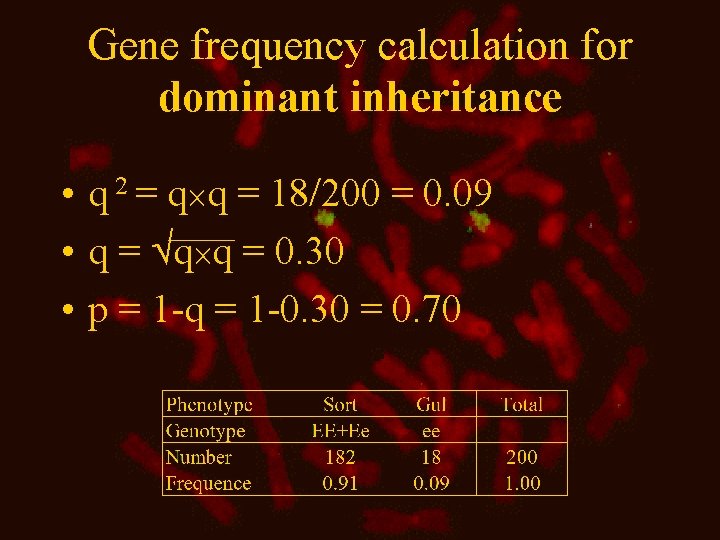 Gene frequency calculation for dominant inheritance • q 2 = q q = 18/200