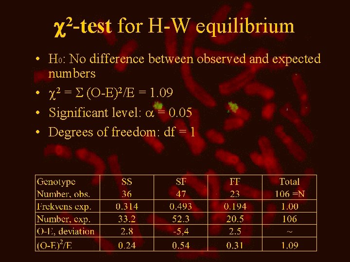  2 -test for H-W equilibrium • H 0: No difference between observed and