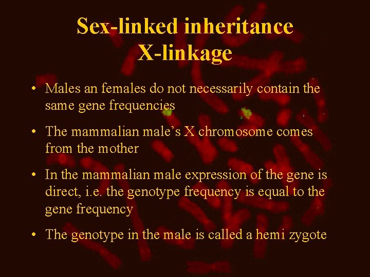 Sex-linked inheritance X-linkage • Males an females do not necessarily contain the same gene