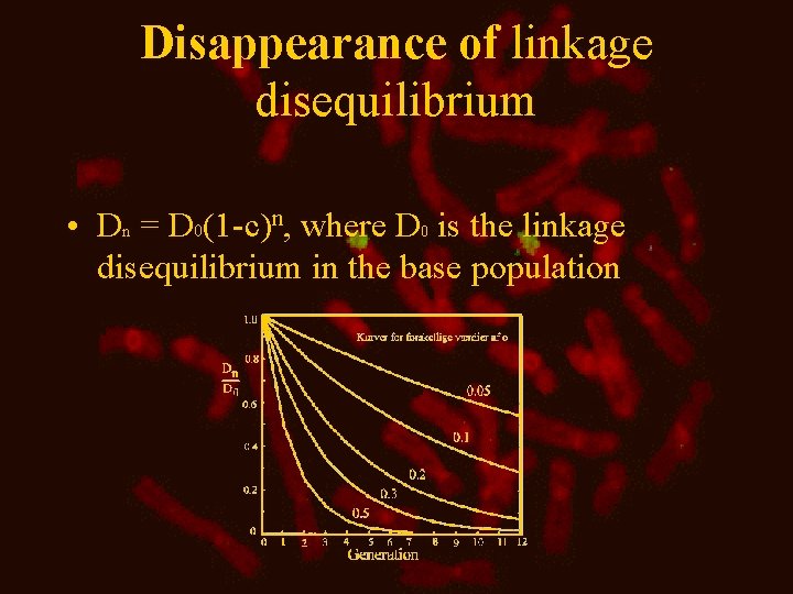 Disappearance of linkage disequilibrium • Dn = D 0(1 -c)n, where D 0 is