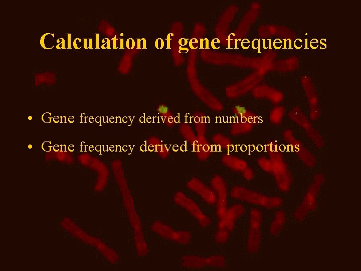 Calculation of gene frequencies • Gene frequency derived from numbers • Gene frequency derived